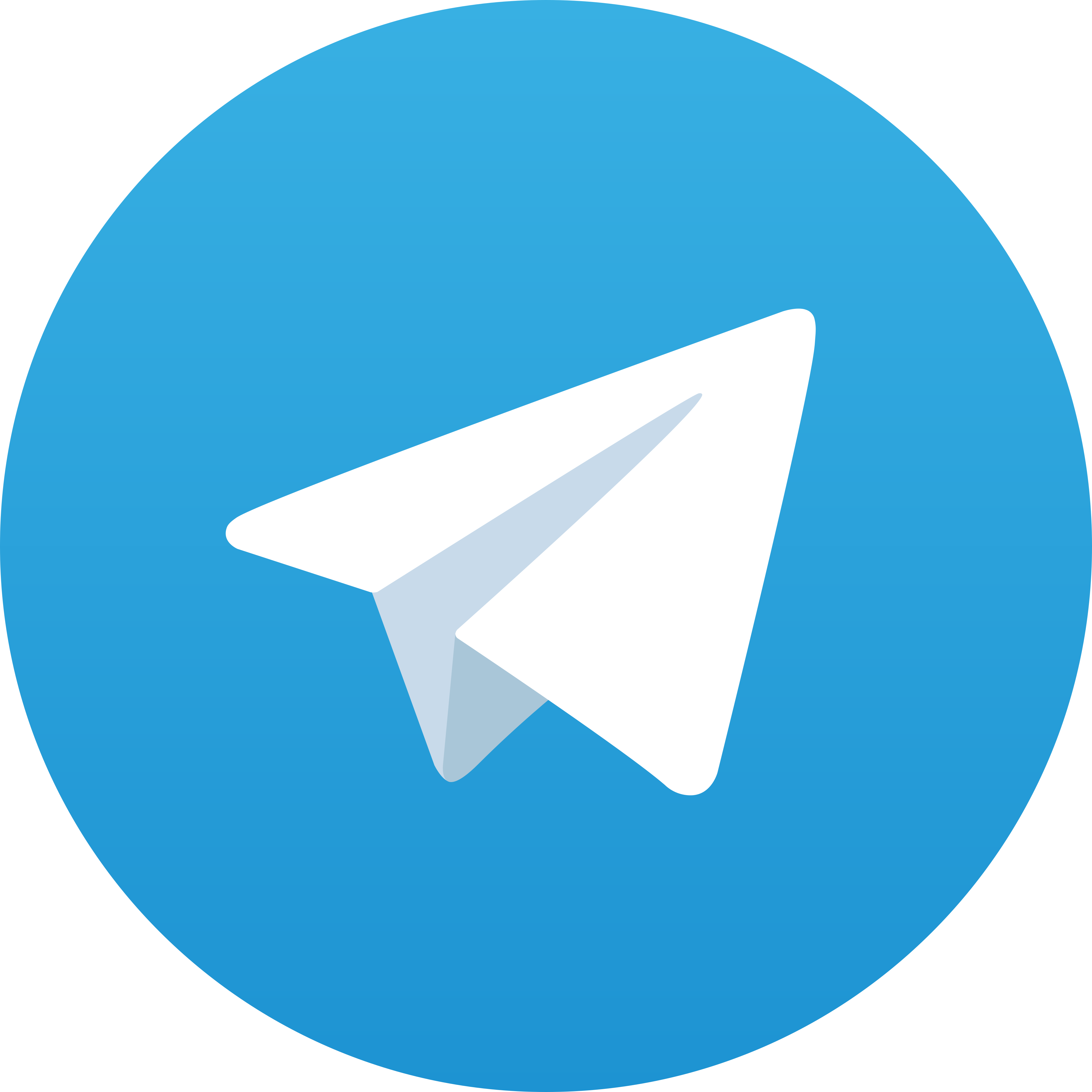 Telegram UNITEDBET